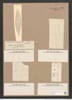 Pleurosigma naviculaceum Breb. (de-Toni-Nr.: Genus 13, Species 1003) Zeichnungen Sammlung Grunow Nr. 2034 (NHMW-BOT-W0368887)